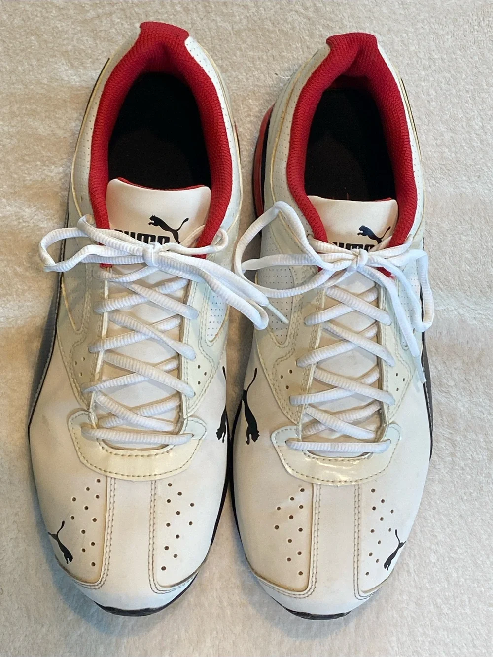 Puma tazon fm